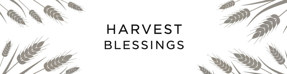 Harvest Blessings text with wheat stalks on a white background, simple and elegant design.