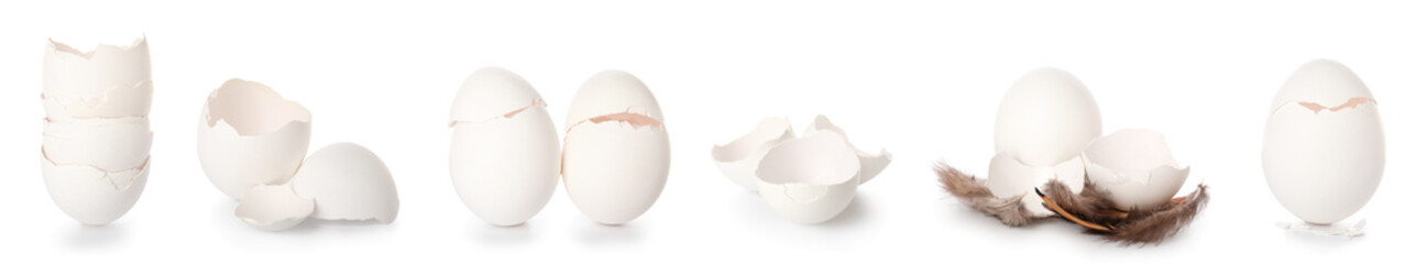 Set of egg shells on white background