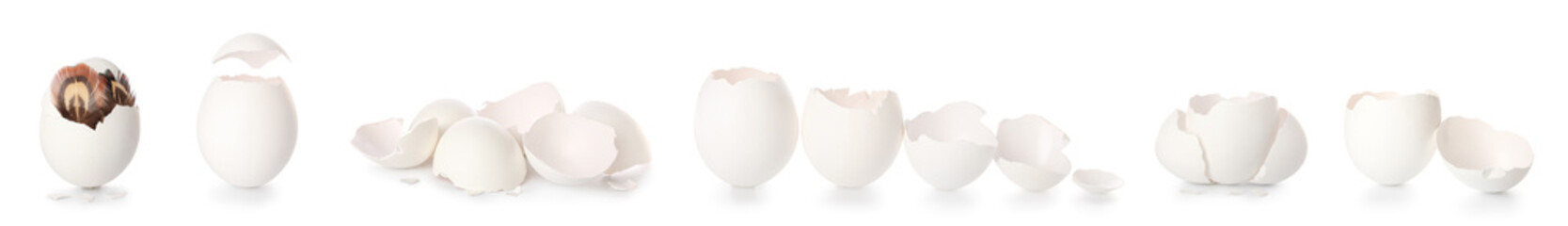 Set of egg shells on white background
