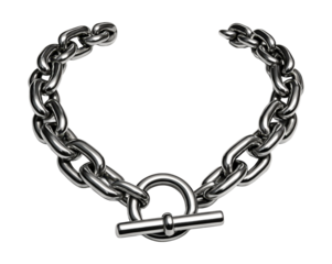 Bold chain necklace featuring a large toggle clasp.