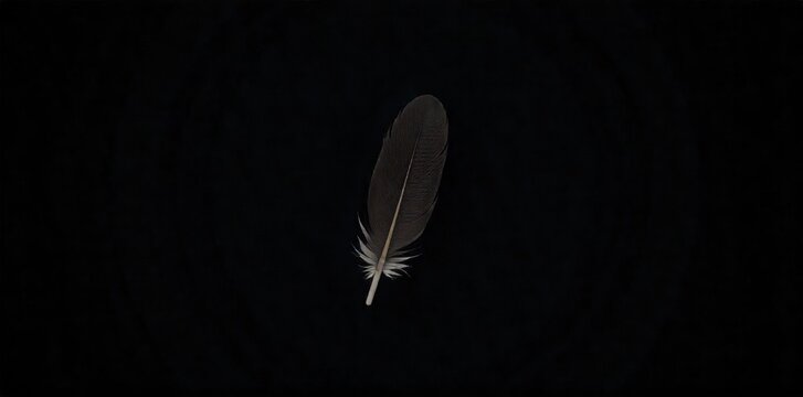 A single, elegant feather gracefully spiraling downwards against a deep, moody, dark background. A single, dark, elegant feather with subtle texture gracefully spiraling downwards against a deep, - Powered by Adobe