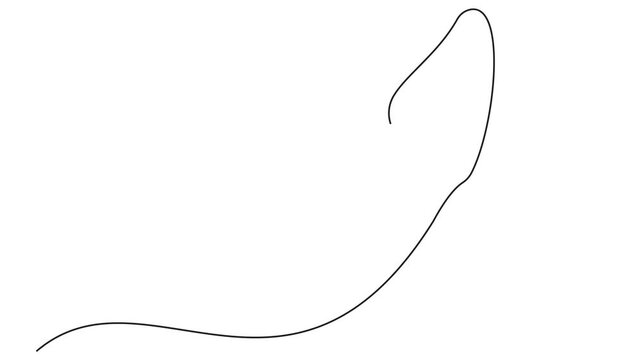 Butterfly drawing with one continuous line. Single line design of beautiful butterfly for business, social media. Concept of spring,  Animation on white background HD