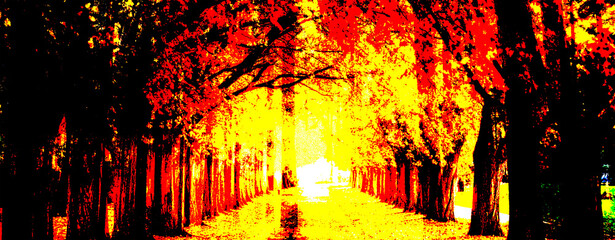 pine forest with grunge effect