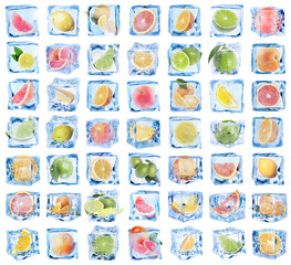 Citrus fruits in ice cubes isolated on white, set