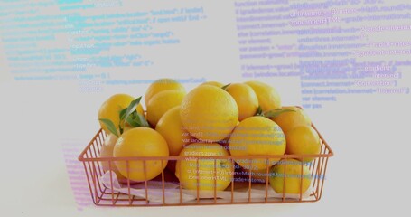 Displaying copper wire basket holding fresh oranges with leaves in bright studio, with code overlay © vectorfusionart
