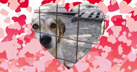 Standing white tan dog behind metal wire fence in kennel with wooden pallet, heart cutout