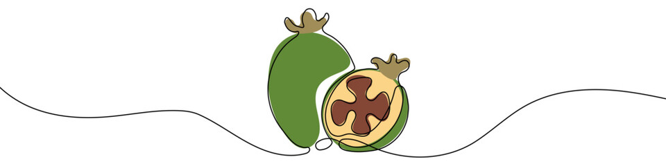 Feijoa in one line art style. Drawing of a whole feijoa and its cut half with pulp, with editable black stroke and color on white background. Vector illustration.
