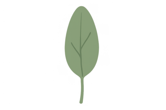 Green leaf vector illustration with stem and veins on transparent background, symbolizing nature, growth, and health