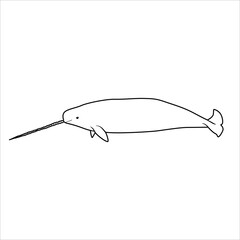 sea animal popular lineart illustration narwhal © hasrul