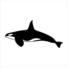 sea animal popular lineart illustration orca