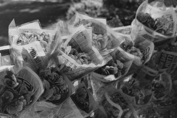 Newspaper roses B&W