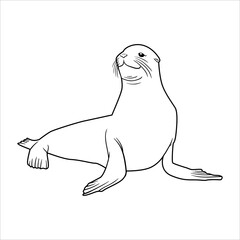 sea animal popular lineart illustration sea lion