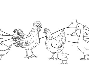 Ink line art seamless border of countryside farm with hens and rooster walking across an open rural field. Ideal for packaging, textile prints, children books, wrapping rustic branding projects.