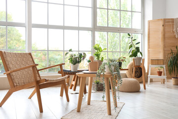 Interior of light room with wooden armchair, tables and green plants