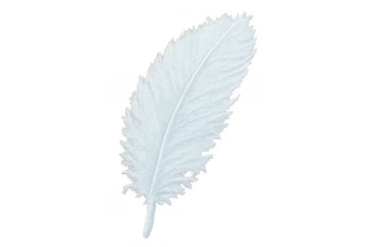 White feather floating, symbolizing lightness, softness, purity, and peace on a transparent background