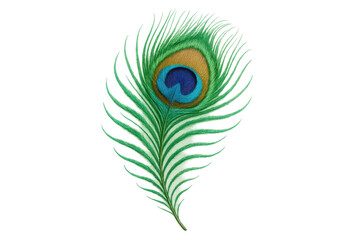 Obraz premium Peacock feather plume featuring vibrant iridescent colors and detailed eye spot, isolated on transparent background