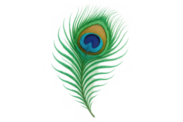 Peacock feather plume featuring vibrant iridescent colors and detailed eye spot, isolated on transparent background