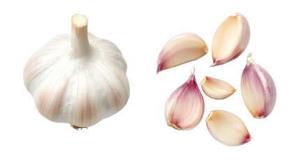 Whole garlic bulb and cloves isolated on transparent background