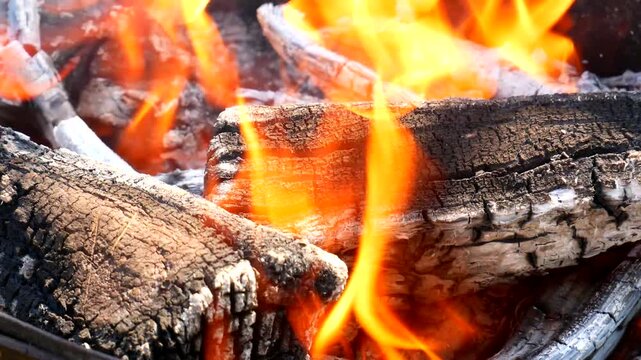 firewood in a fireplace. close-up