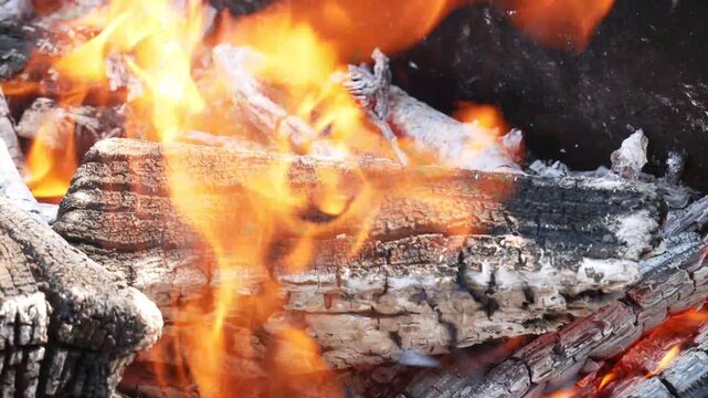 firewood in a fireplace. close-up
