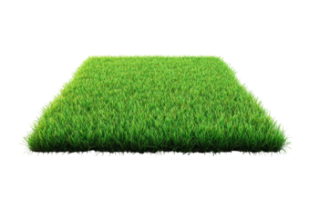 Lush, green rectangular patch of grass