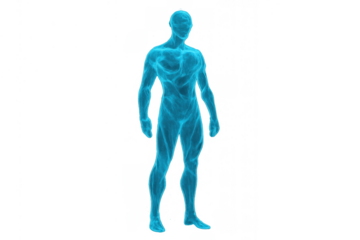 Human body anatomy concept with blue ethereal energy showing internal muscular structure, transparent background
