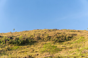 A minimalist photo showing a dry, grassy hillside sloping upwards. Scattered rocks and small trees dot the slope against a vast, clear blue sky providing ample copy space.
