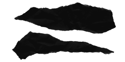 Two abstract black shapes isolated on transparent background