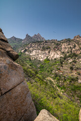 Scenic view of the mountains covered by blossoming azalea in Dazhu Mountain Scenic Area in Qingdao Shandong Province, China