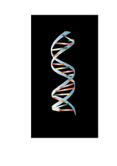 DNA