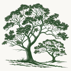 Nature twin print on white background