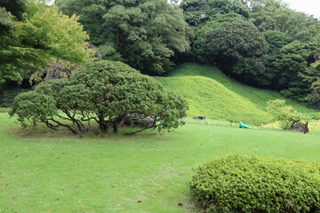 小石川後楽園。水戸徳川家の上屋敷の回遊式築山泉水庭園。