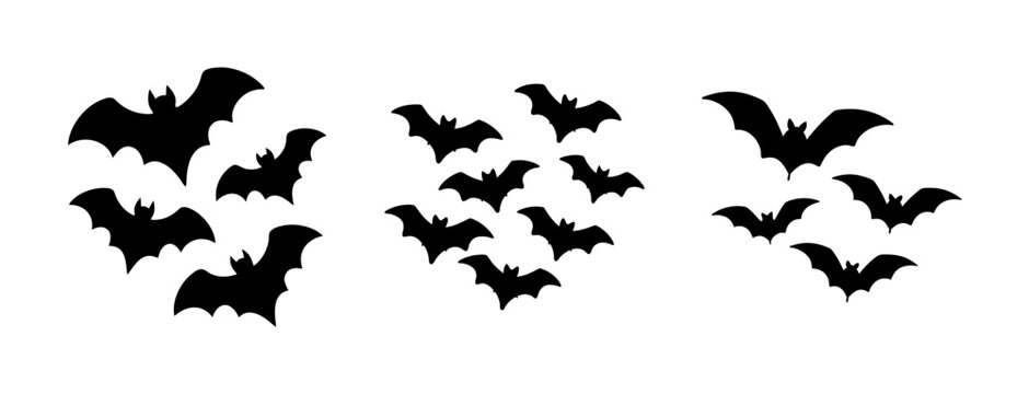Silhouette bat swarm flying across sky for spooky halloween decorations and themed events