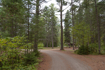 Fototapeta premium Peaceful walk in Algonquin Park surrounded by tall trees and natural wilderness.