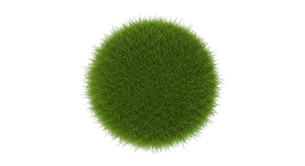 spherical clump of vibrant green grass with detailed texture, cutout, PNG isolated on white or transparent background