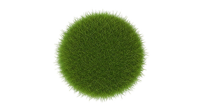 spherical clump of vibrant green grass with detailed texture, cutout, PNG isolated on white or transparent background - Powered by Adobe