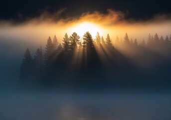 Obraz premium Golden sun rays piercing through a dense foggy forest at sunrise over a tranquil lake