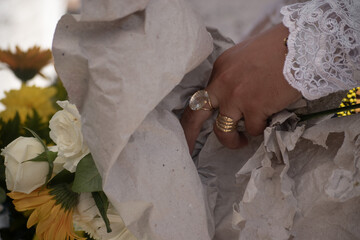 Serra Grande Bahia Authentic Tropical Landscapes Sea Coconut Trees Blue,Authentic landscape photography from Bahia, Brazil featuring the tropical beauty of Itacaré beaches with deep blue ocean