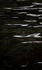 Authentic landscapes of Itacaré, Bahia. Golden sun, deep sea, crystal waterfalls, and the earthy power of Brazil. Tropical light and shadow revealing the natural soul of paradise.