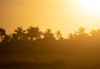 itacare, bahia, brazil, tropical, paradise, nature, sunlight, sea, ocean, coast, landscape, travel, tourism, green, blue, yellow, summer, beach, sand, wave, horizon, sunlight, sunlightreflection, exo
