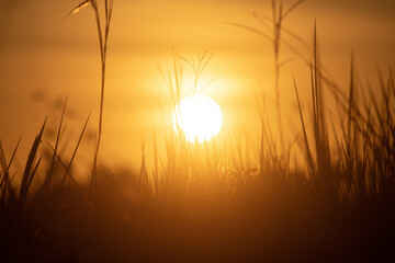 itacare, bahia, brazil, tropical, paradise, nature, sunlight, sea, ocean, coast, landscape, travel, tourism, green, blue, yellow, summer, beach, sand, wave, horizon, sunlight, sunlightreflection, exo  © Stanley