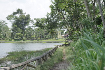 Peaceful path along a tranquil lake, bordered by lush green trees and tall grass, creating a serene...
