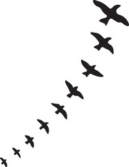 Birds flying upward in curved path silhouette vector.