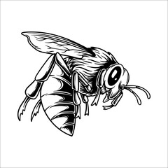 honey bee silhouette vector hand drawn