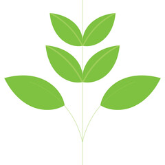 Stylized Green Leafy Plant Symbol Isolated on Transparent Background Simple Clean Design Element for Nature and Growth Concepts