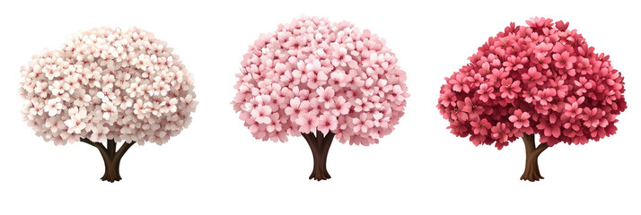 Three blossom trees of varying pink hues