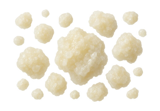 Irregularly shaped granular glycogen particles of varying sizes.