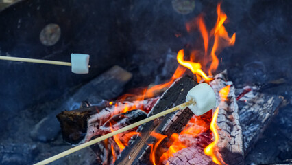 Marshmallows being roasted over an open campfire, with glowing flames and charred wood creating a warm, inviting atmosphere for outdoor gatherings