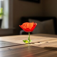 Resilient Poppy - A Symbol of Strength and Beauty in Unexpected Places.