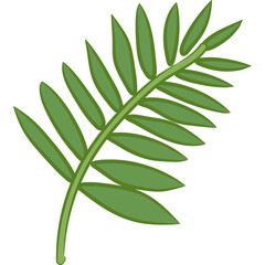 A Single Green Leafy Branch with Multiple Oval Shaped Leaves in a Close-up View Against a Transparent Background with Simple Illustration Style